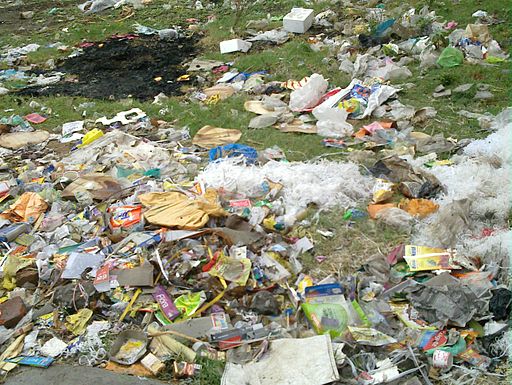 A VIEW OF GARBAGE2
