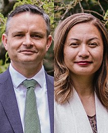 Members of Parliament James Shaw and Marama Davidson (Green Party) for List