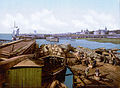 Havnen i Arkhangelsk i 1896, da pomorhandelen var på sit højeste.