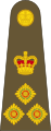 Regne Unit: Brigadier general