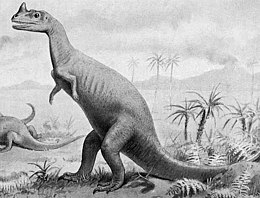 Ceratozauras (Ceratosaurus sp.)