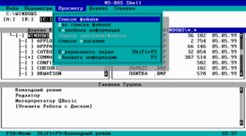DOS Shell из русифицированной MS-DOS 5.0