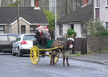 English: Donkey cart in Conlig A change from a...