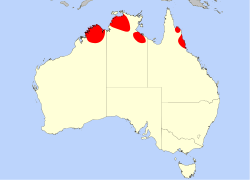 D. banksii distribución