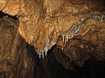 Tropfsteinhöhle „Einhornhöhle“