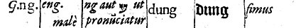 Eng dans Logonomia anglica, 1621, d’Alexander Gill.