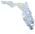 2022 Florida Amendment 1