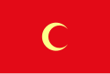 Flag of the Emirate of Algiers who was later used by the Regency of Algiers during the Algiers expedition of Charles V