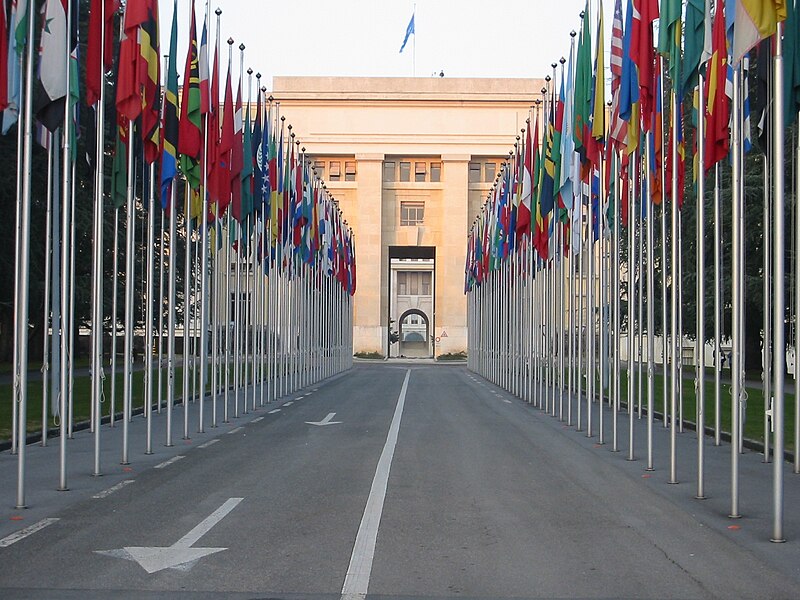 Flags onu geneva2.jpg