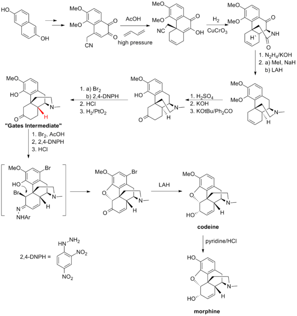 The Bates synthesis