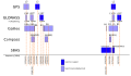 Vorschaubild der Version vom 00:03, 19. Jun. 2008