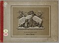 Goede vriendschap : een geschiedenisje voor kleine, zeer jonge dames / in 20 teekeningen verteld door Oscar Pletsch, ca. 1870.