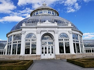 Dome-shaped glass building