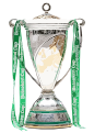 Trofeo Heineken Cup richiesto