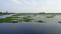 Houghton Lake Flats Flooding State Wildlife Management Area