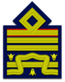 Distintivo per paramano di generale di divisione aerea con incarichi speciali