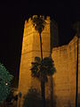 Vue nocturne de la tour de l'Alcázar de Jerez