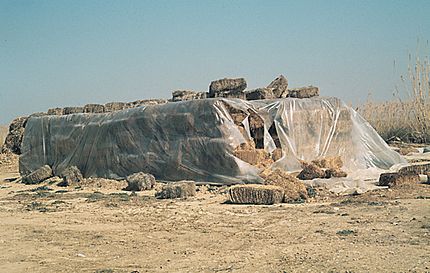 CRIDA 06 a Montañana (comarca Zaragoza - Saragossa), 7 de març de 1984