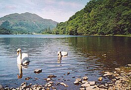 A lake with swans on it, surrounded by hills