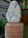 Miniatura para Hermanas de la Caridad de Santa Ana