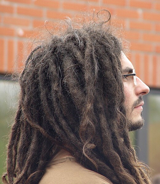 how to grow dreadlocks photograph