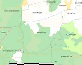 Mapa obce Birkenwald