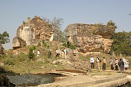 Remains of giant Chinthe