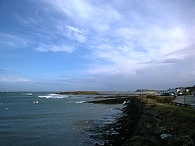 L'île Thinic, vue de Portivy.