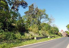 Die Düne an der Karl-Prendel-Straße ist Teil des Geotops