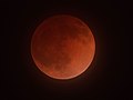 美國加利福尼亞州聖塔克拉拉縣聖荷西的月全食，時間為07:46 UTC