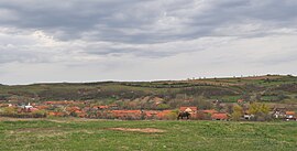 Overview of Ohaba Lungă