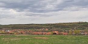 Panoramă din drumul spre Dubești