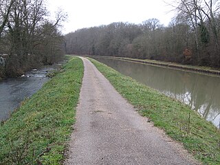 La Trézée à gauche, le canal de Briare à droite : vue vers l'aval près du camping d'Ouzouer.