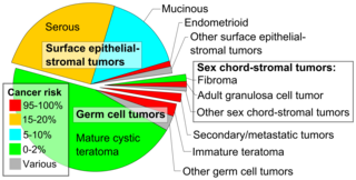 Ovarian tumors (including non-cancerous tumors) by incidence and risk of ovarian cancer. Ovarian tumors by incidence and cancer risk.png