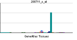 PBB GE CCND1 208711 s at tn.png