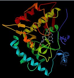 Phenylalanine hydroxylase.jpg