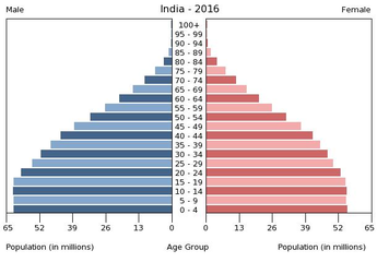 Population pyramid of India 2016.png