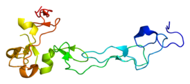 Protein ADAM10 PDB 2ao7.png