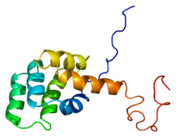 Протеин FAS PDB 1ddf.png