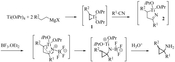 Szymoniak variation reaction mechanism