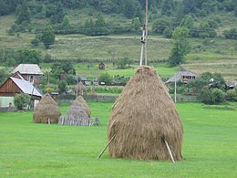 Lunca Bradului – Veduta