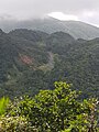 Route de la Traversée vue de la mamelle de Petit-Bourg