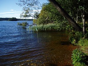 Skarven med ön Alholmen i bakgrunden