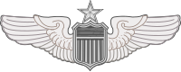 Старший пилот ВВС США Wings.svg