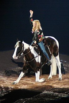 Crow at the Houston Livestock Show and Rodeo in 2007 Sheryl Crow Houston 2007.jpg