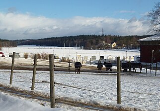 Odlingslandskapet öster om Skrävsta.