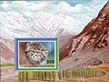 Tacikistan, 1996)