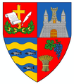 Stemă concepută de heraldiștii Muzeului Țării Crișurilor din Oradea, îmbinând stemele județelor Arad și Bihor