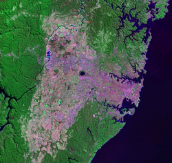 The Cumberland Plain covers the sweeping Greater Western Sydney area, from the Inner West to Penrith.