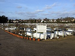 The Jewish cemetery, Hoop Lane - geograph.org.uk - 676609.jpg